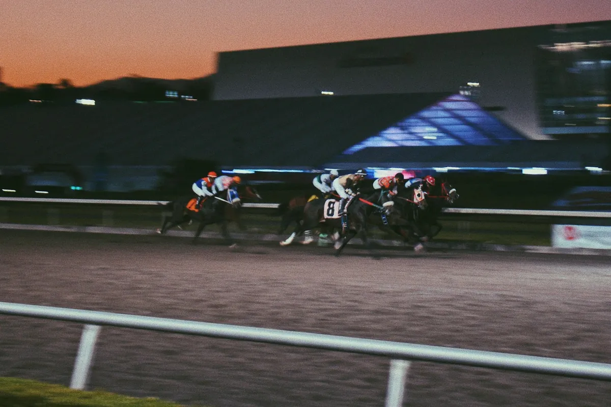 Racehorses at full stretch past the stands at dusk, under the track lights