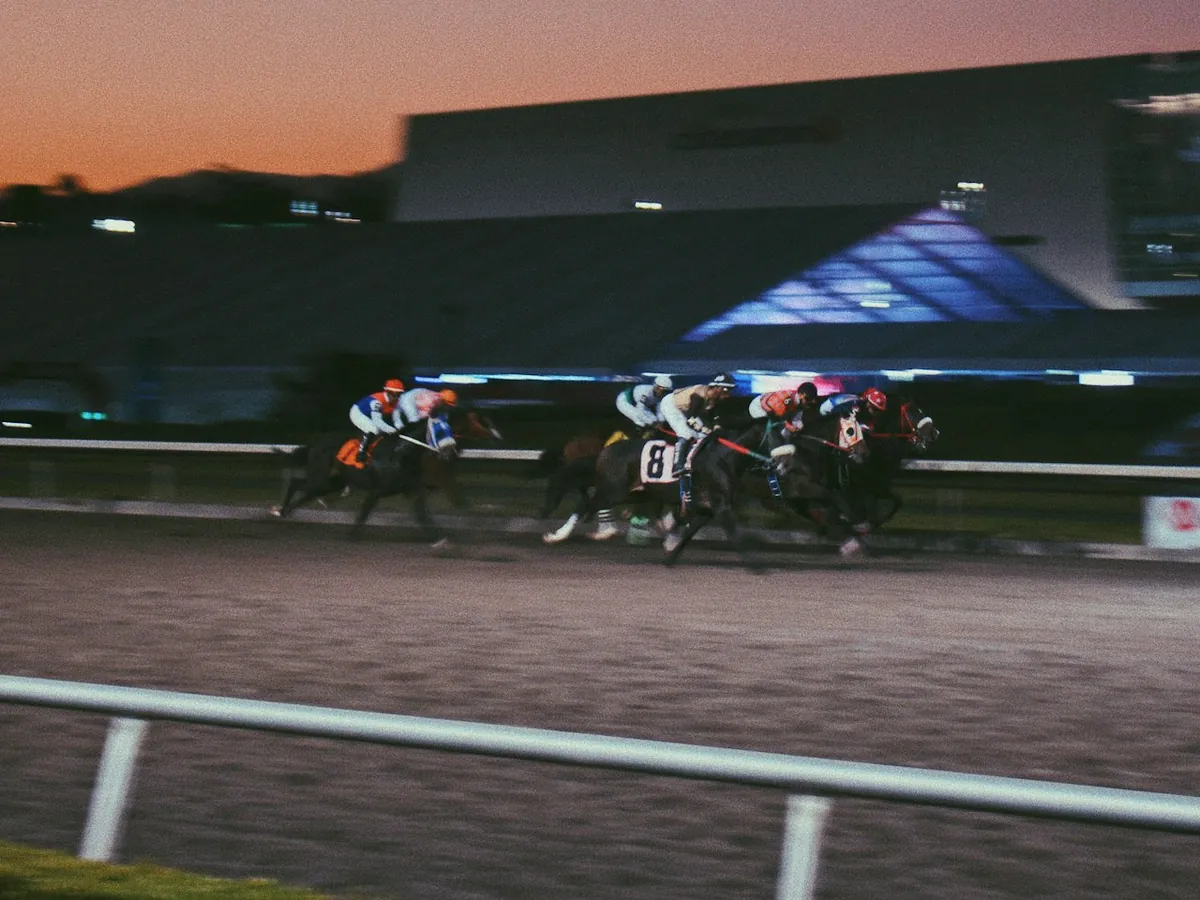 Racehorses at full stretch past the stands at dusk, under the track lights