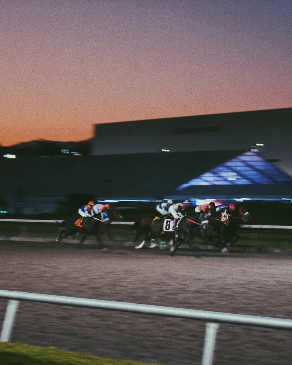 Racehorses at full stretch past the stands at dusk, under the track lights